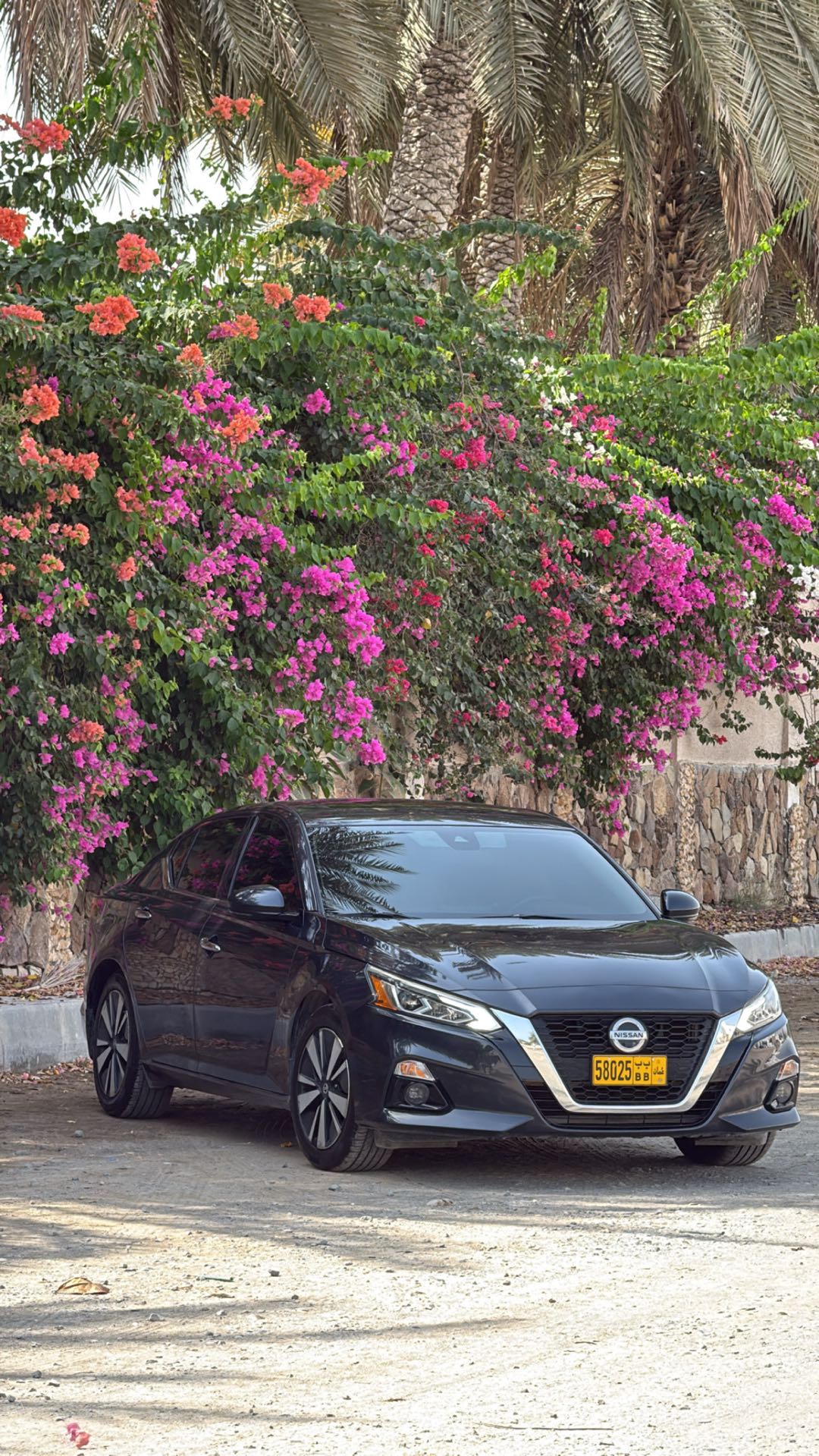 Car Image 2019 NISSAN ALTIMA SV