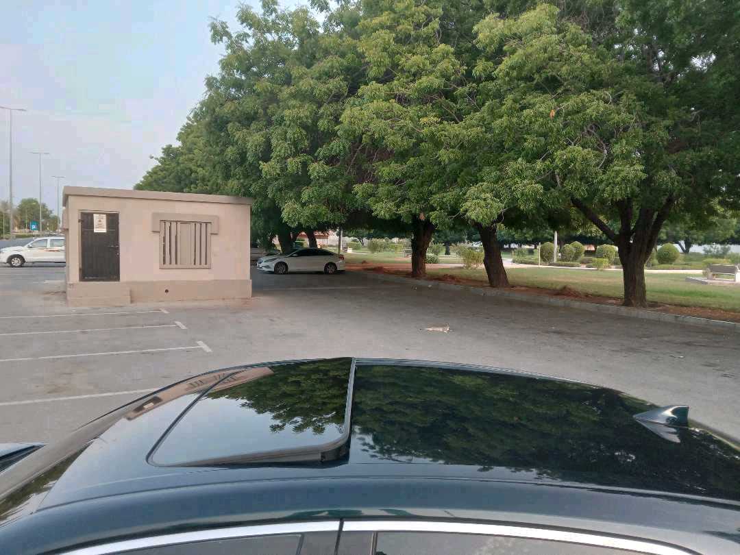 Car Image 2019 TOYOTA CAMRY SE