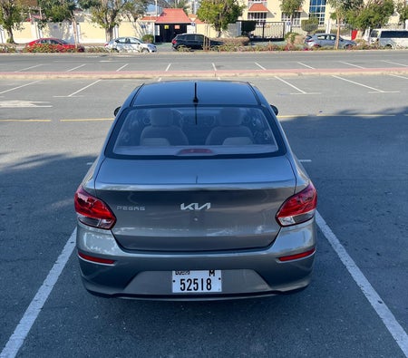 KIA PEGAS 2022