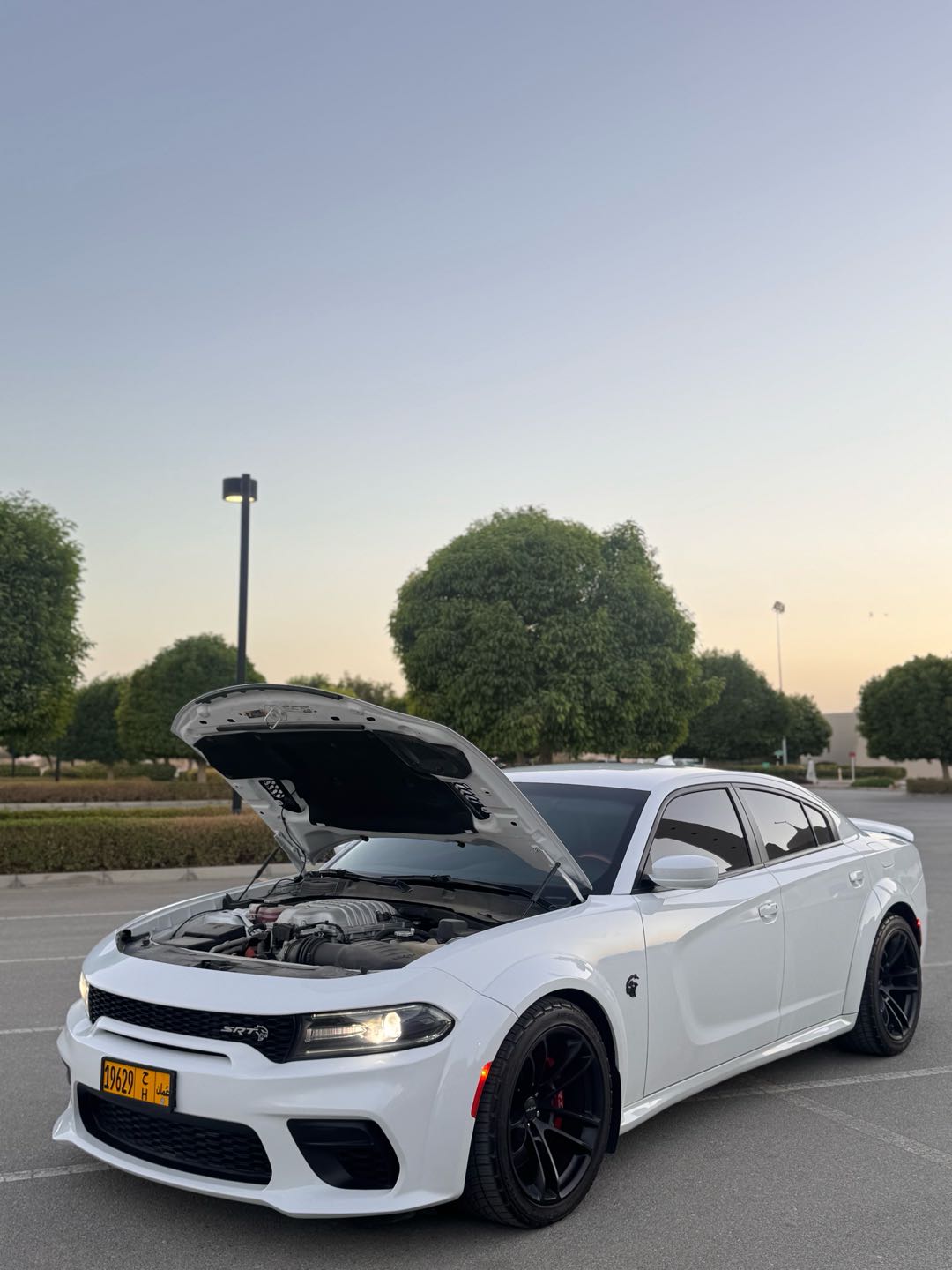Car Image 2022 DODGE CHARGER HELLCAT