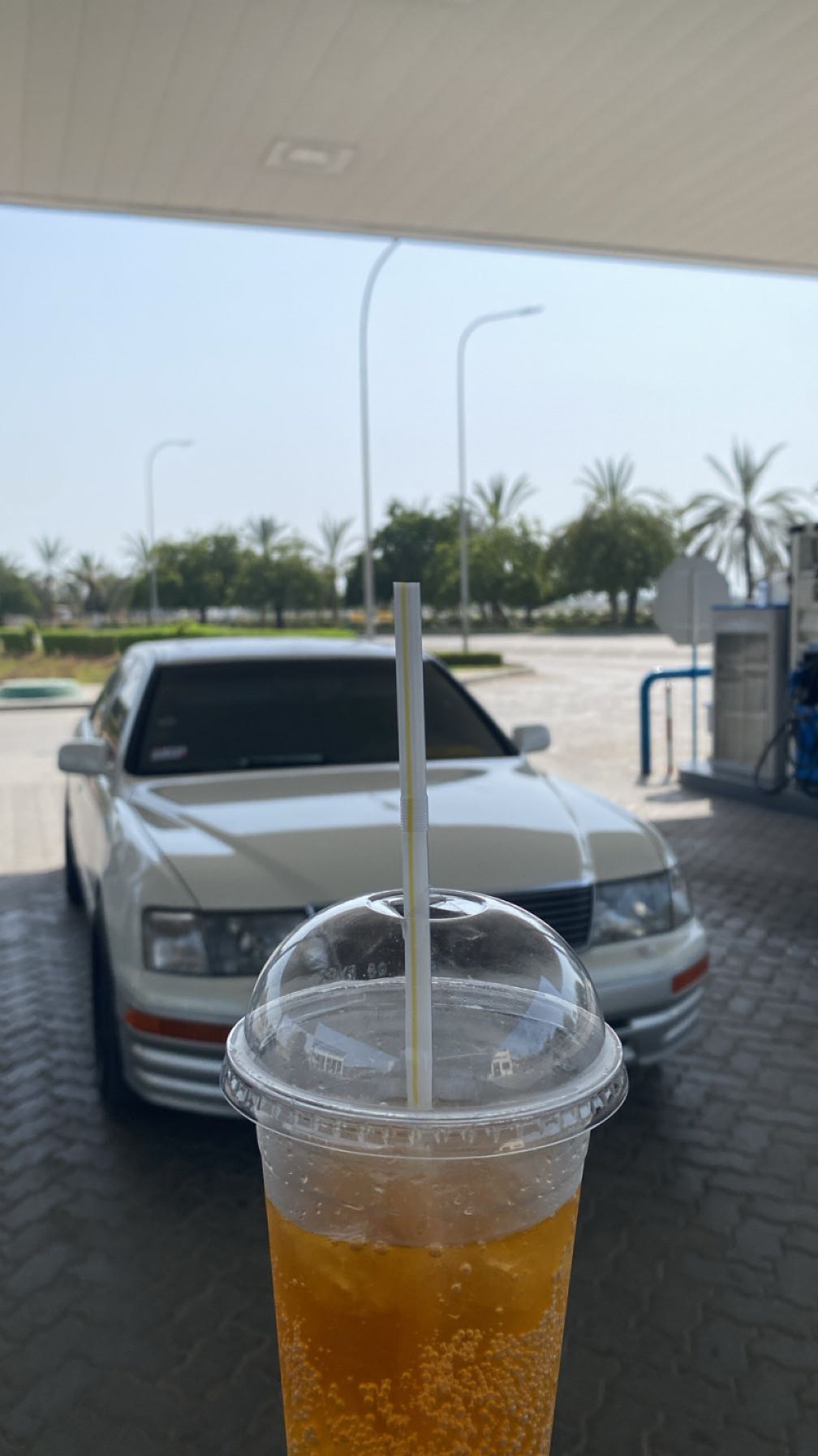 seller avatar