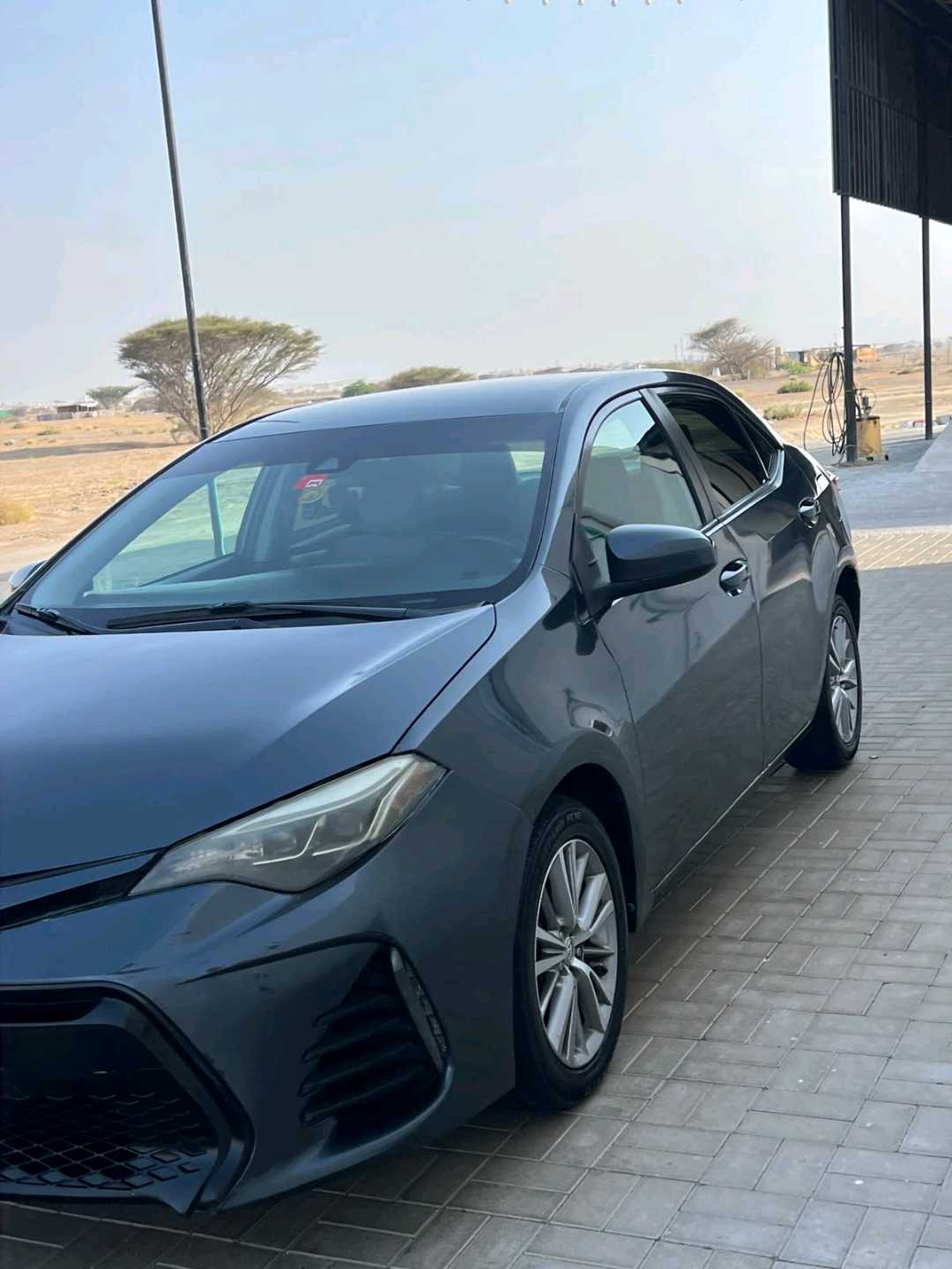 seller avatar