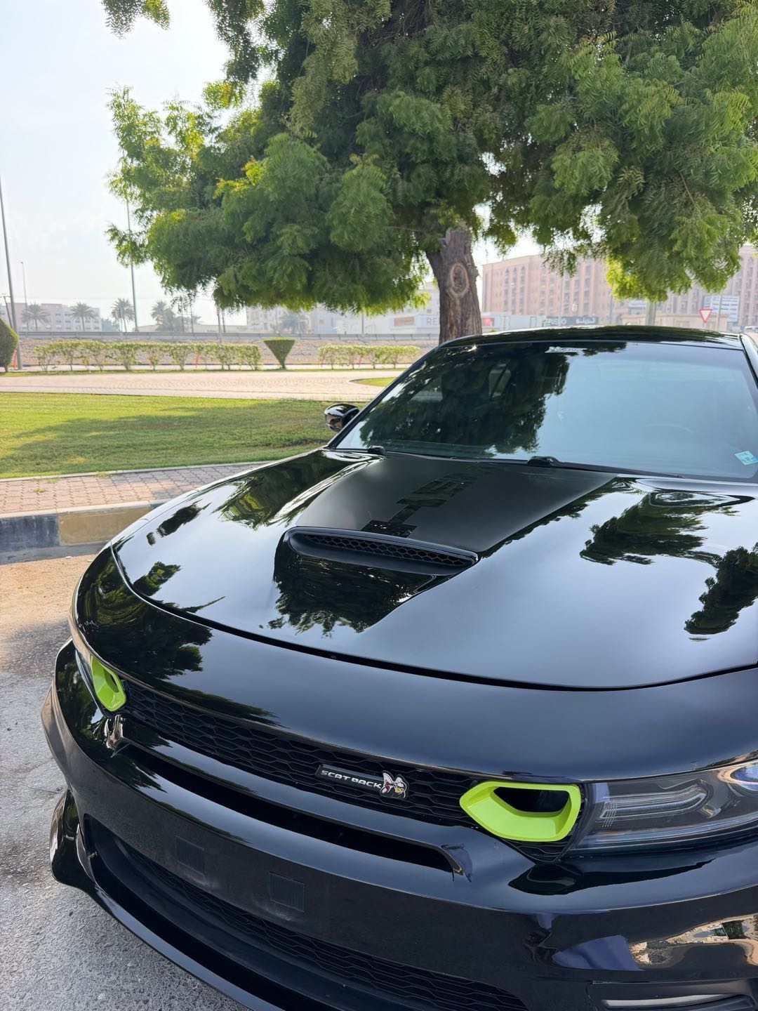 Car Image 2019 DODGE CHARGER SCAT PACK