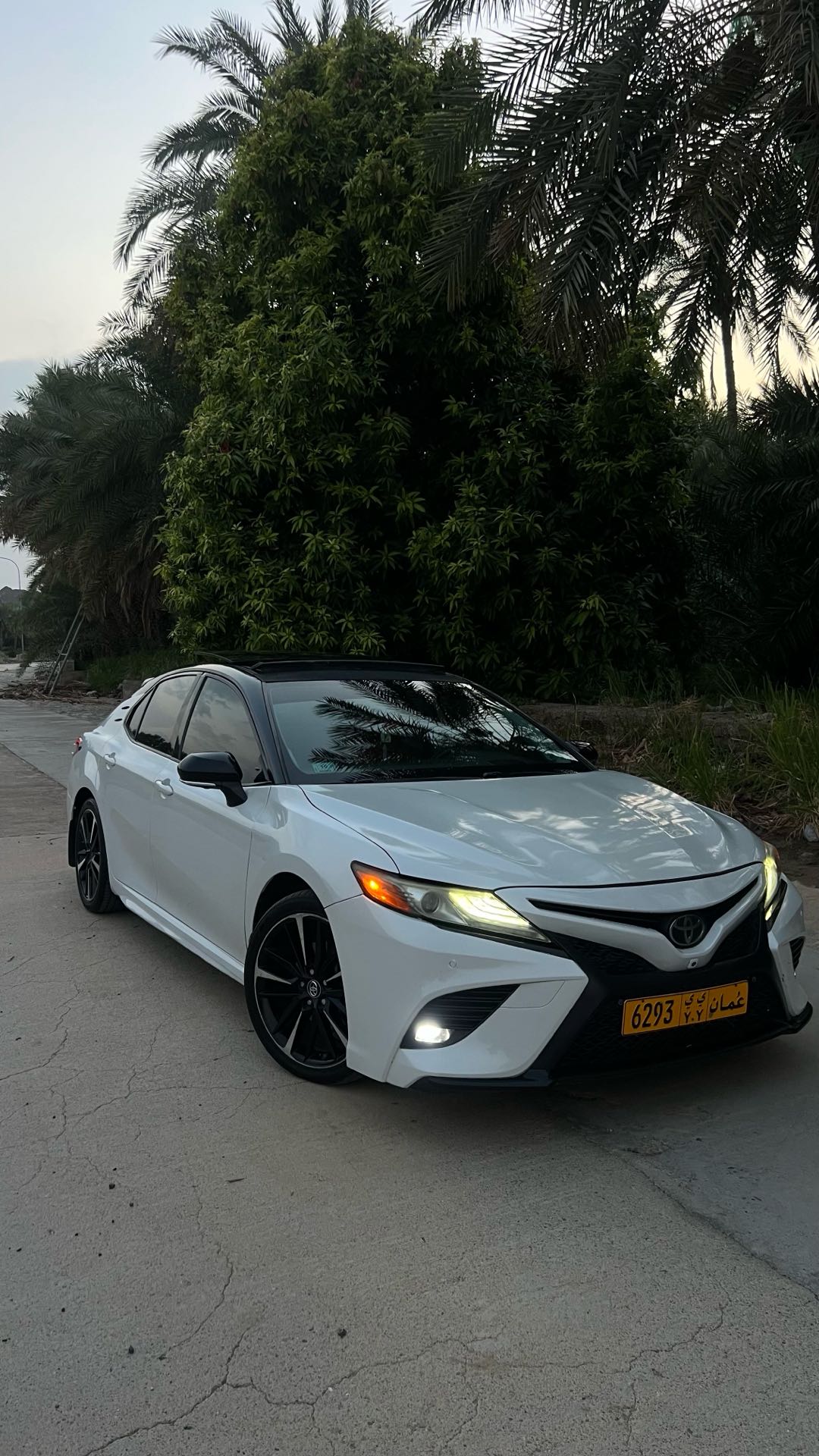 Car Image 2019 TOYOTA CAMRY XSE