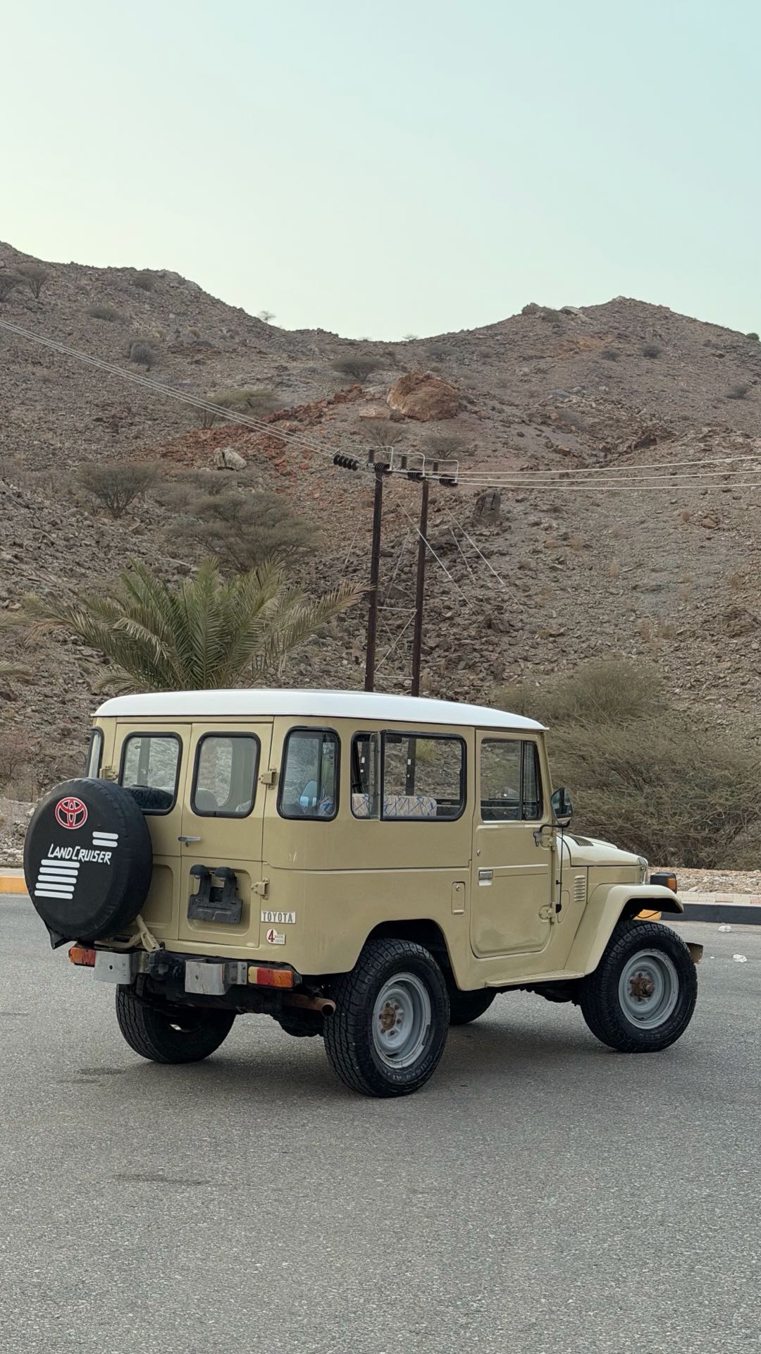 Car Image 1979 TOYOTA LAND CRUISER LX