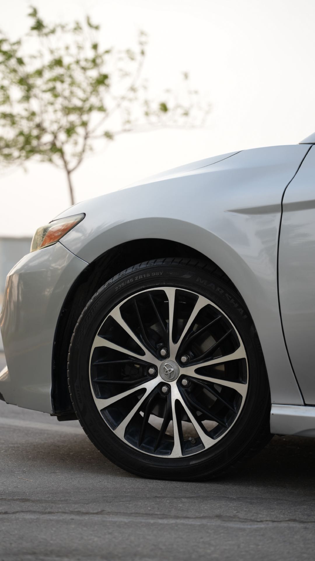 Car Image 2019 TOYOTA CAMRY SE