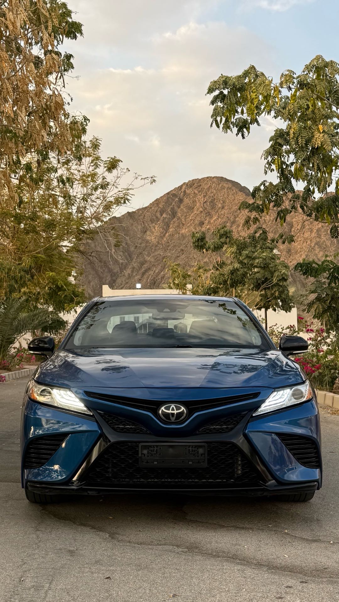 Car Image 2019 TOYOTA CAMRY XSE