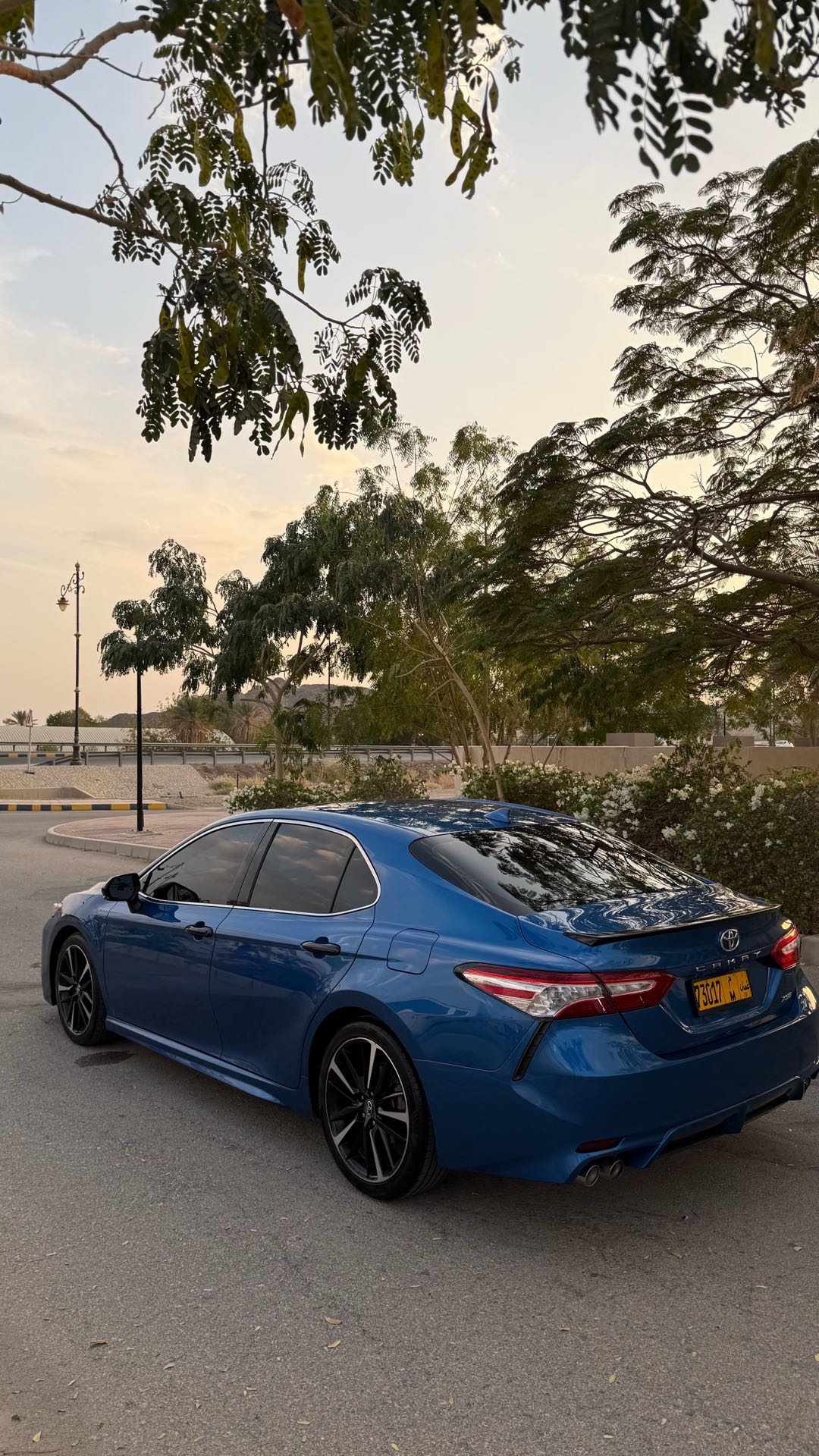 Car Image 2019 TOYOTA CAMRY XSE