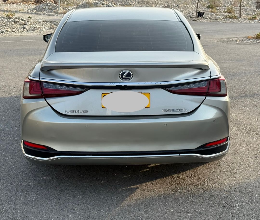 Car Image 2019 LEXUS ES 300
