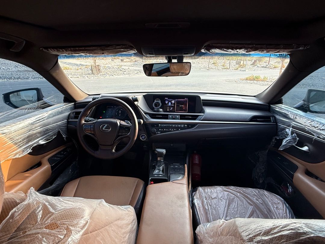 Car Image 2019 LEXUS ES 300