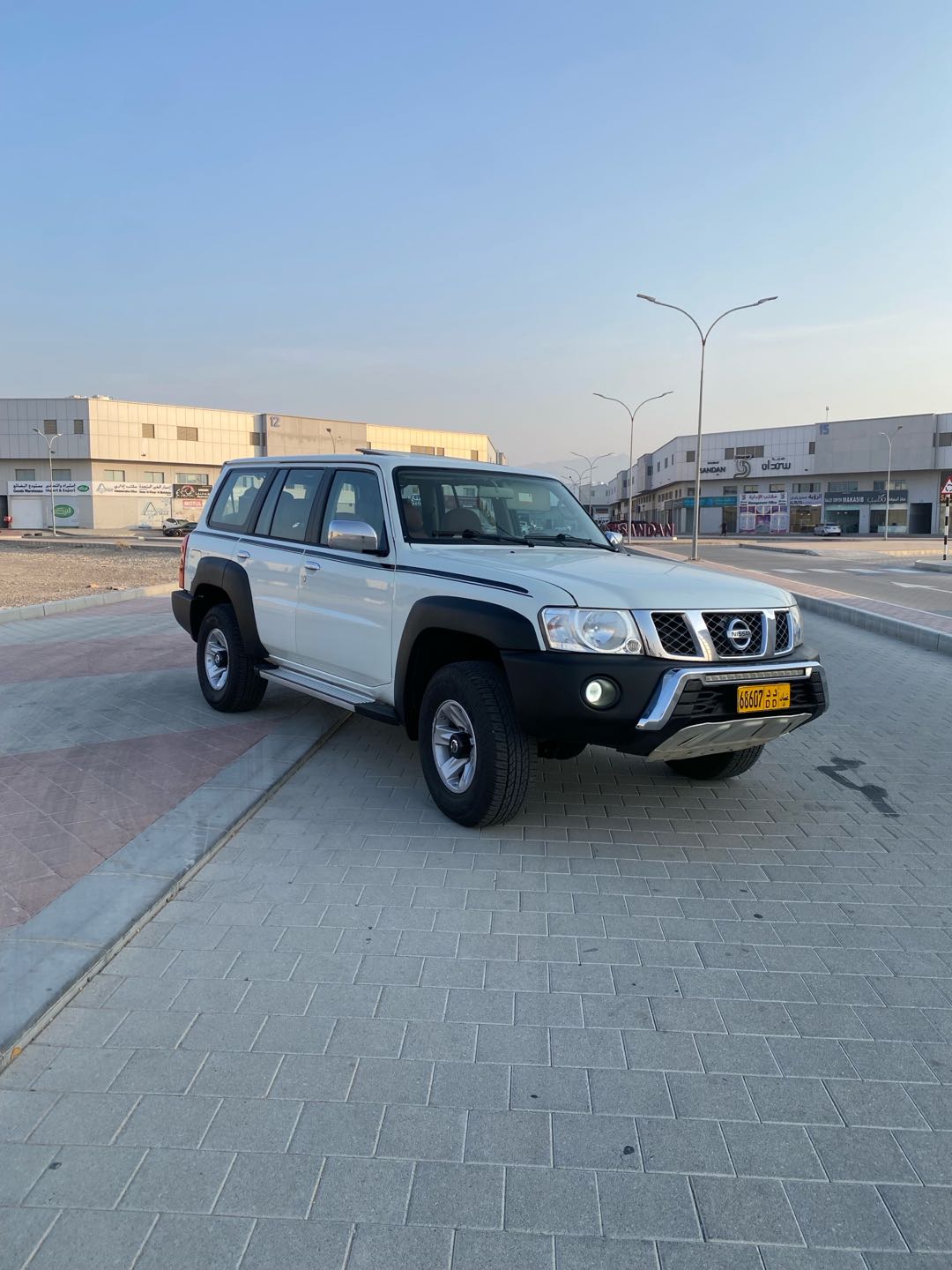 Car Image 2019 NISSAN SAFARI 