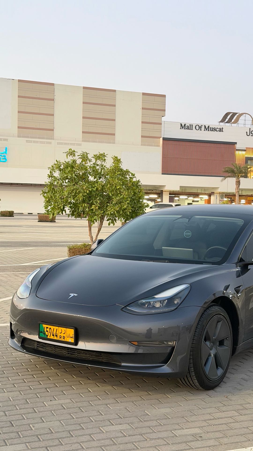 Car Image 2023 TESLA Model 3 Standard