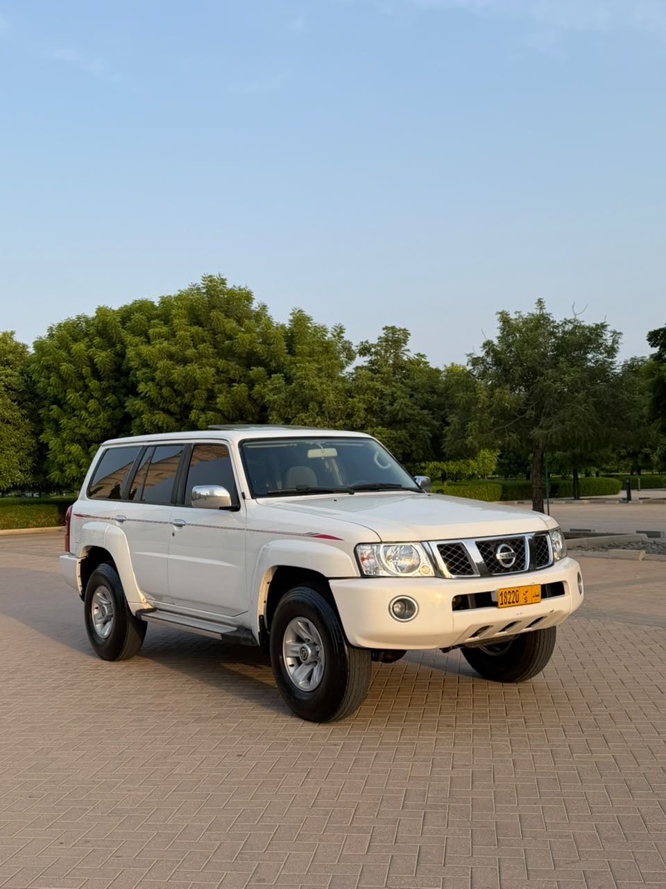 Car Image 2019 NISSAN SAFARI 