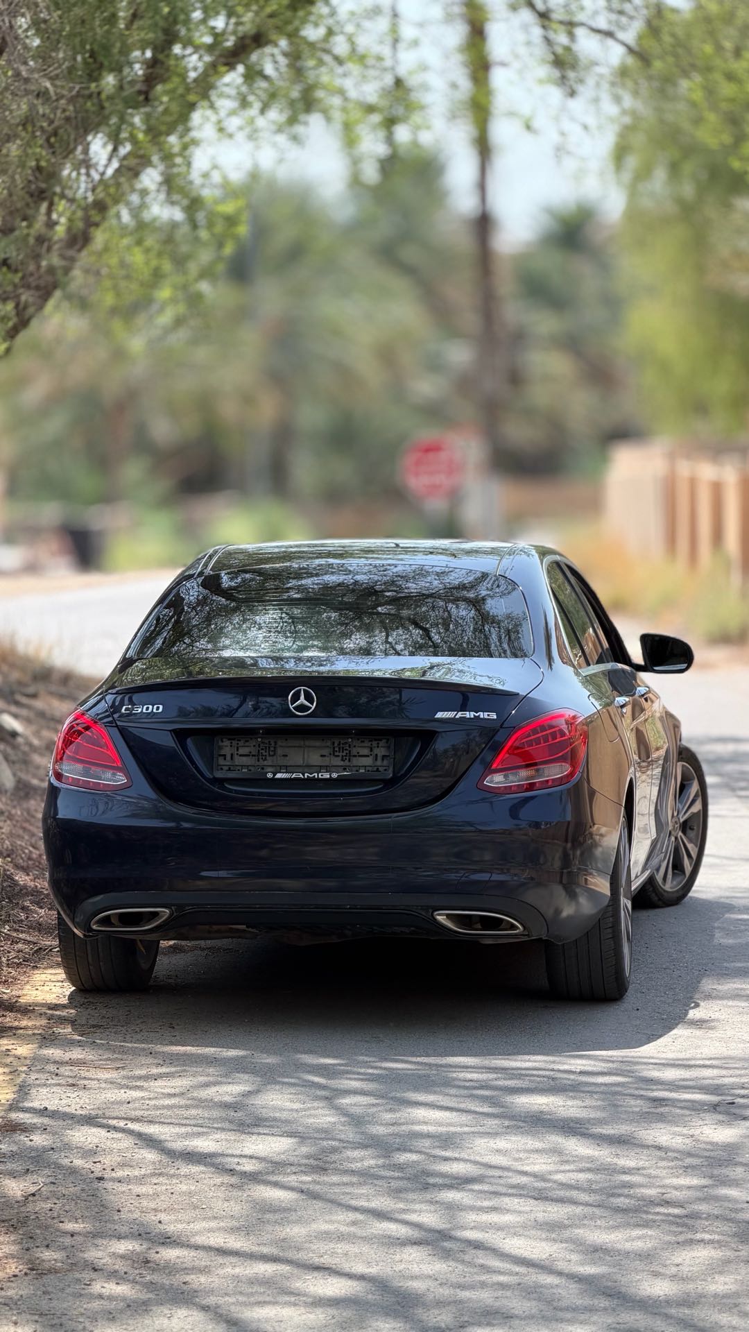 Car Image 2017 MERCEDES C Class 300