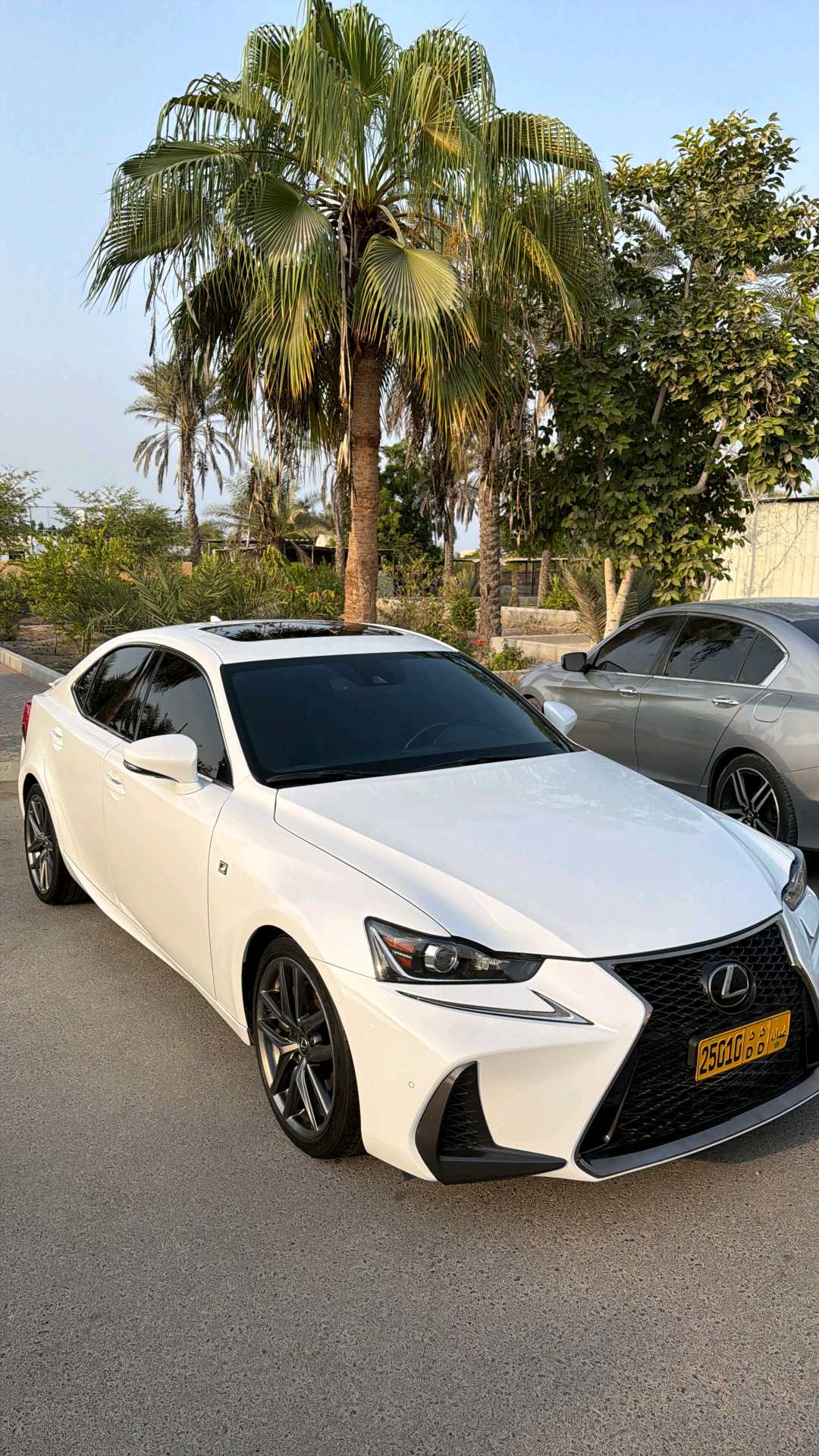Car Image 2020 LEXUS IS 350