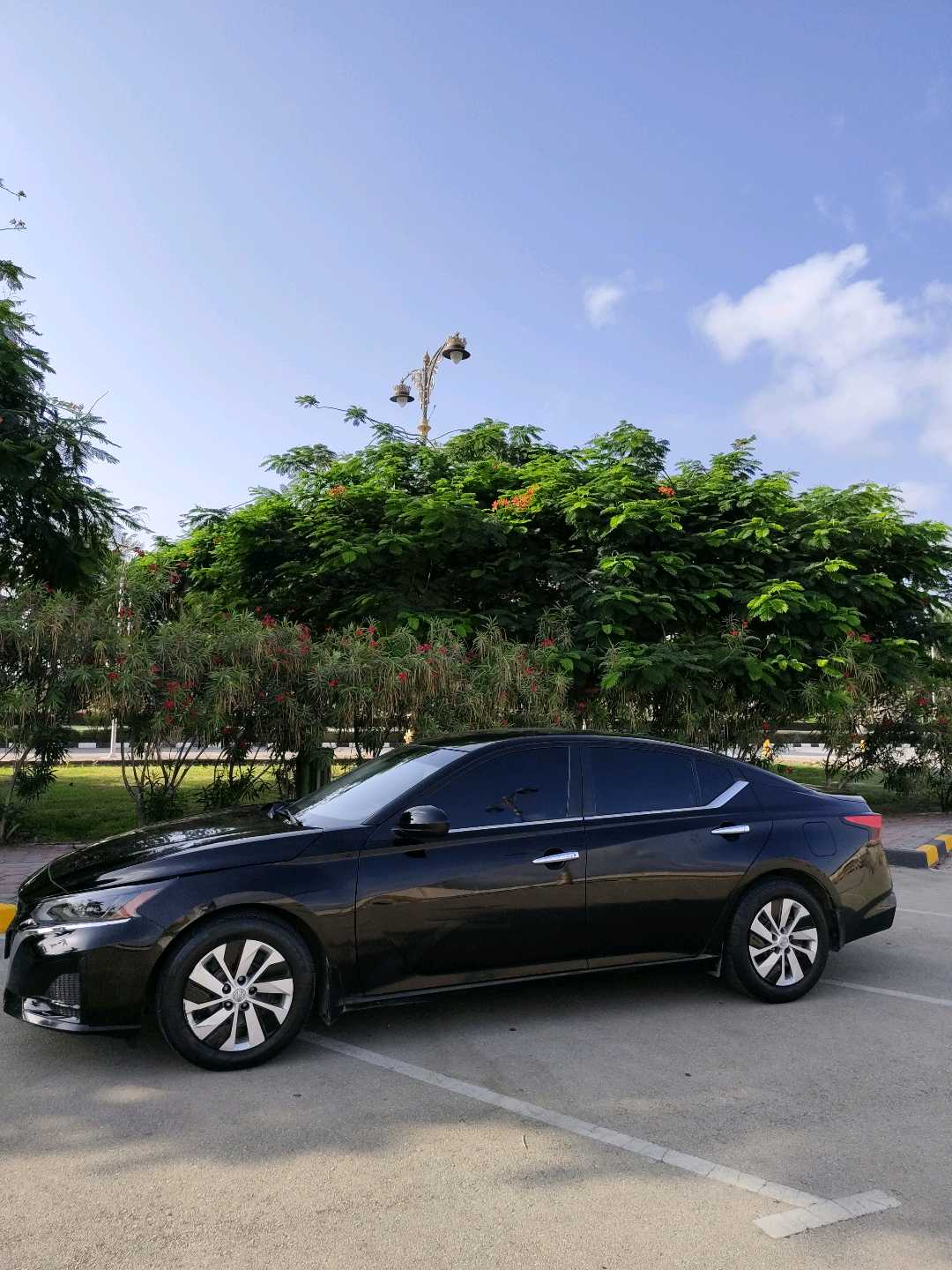 Car Image 2020 NISSAN ALTIMA S