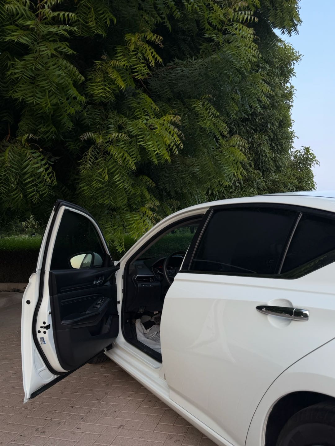 Car Image 2019 NISSAN ALTIMA S