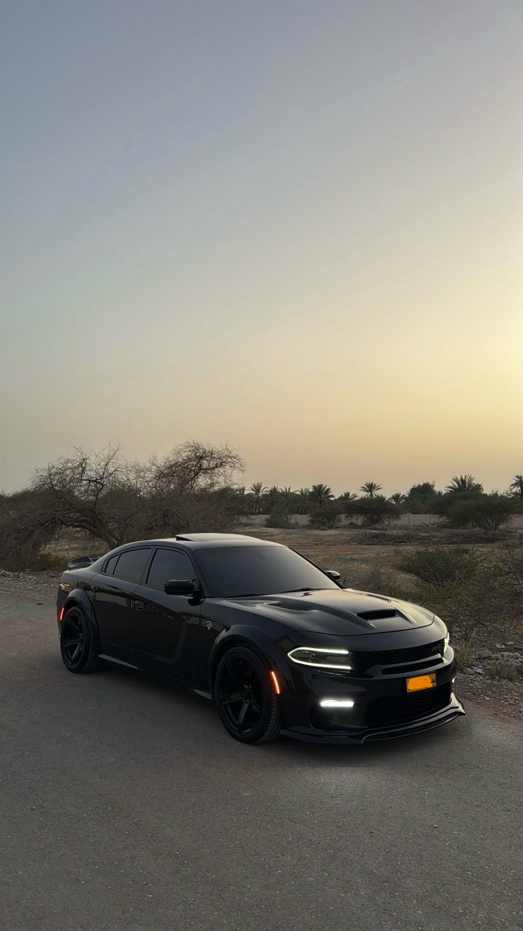 دودج تشارجر 2020