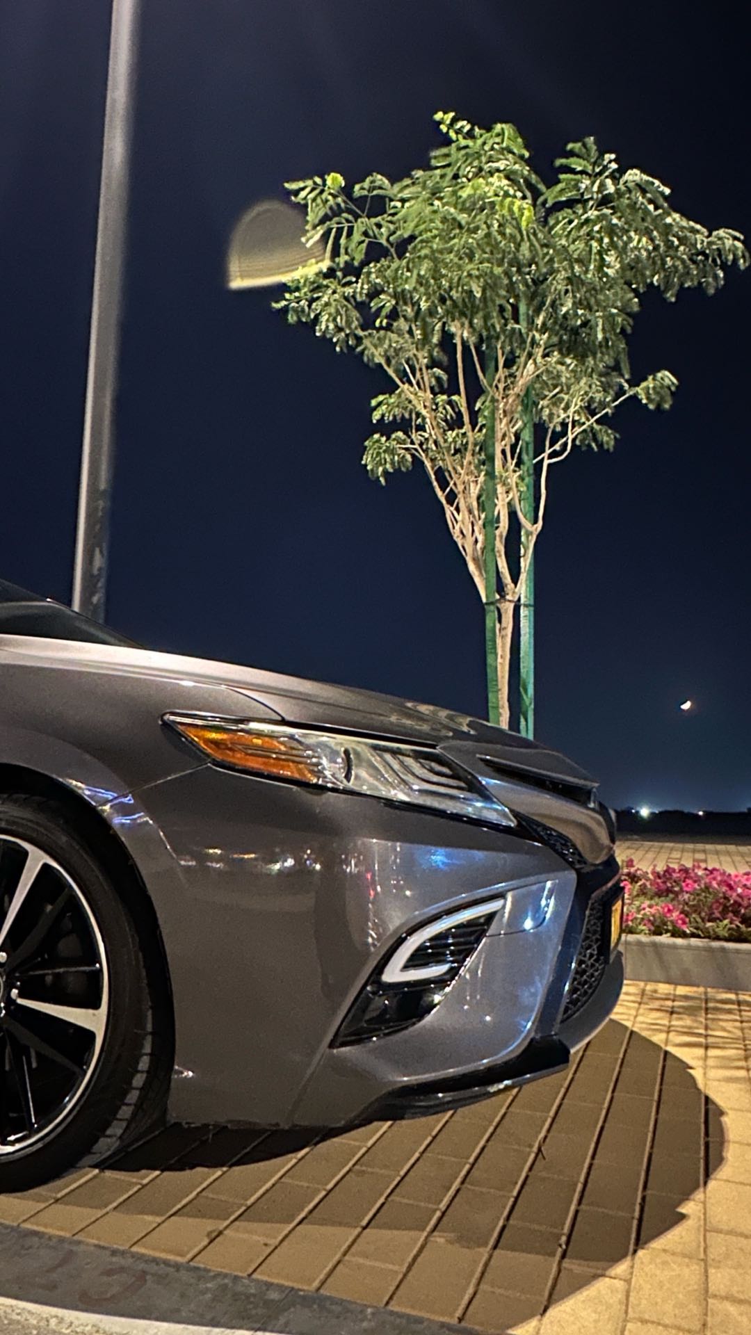 Car Image 2019 TOYOTA CAMRY XSE