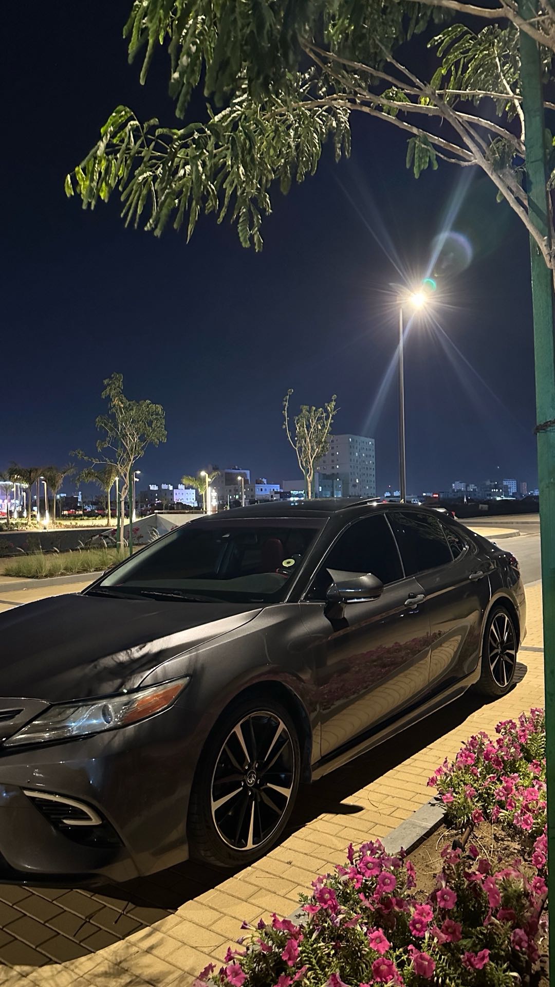 Car Image 2019 TOYOTA CAMRY XSE