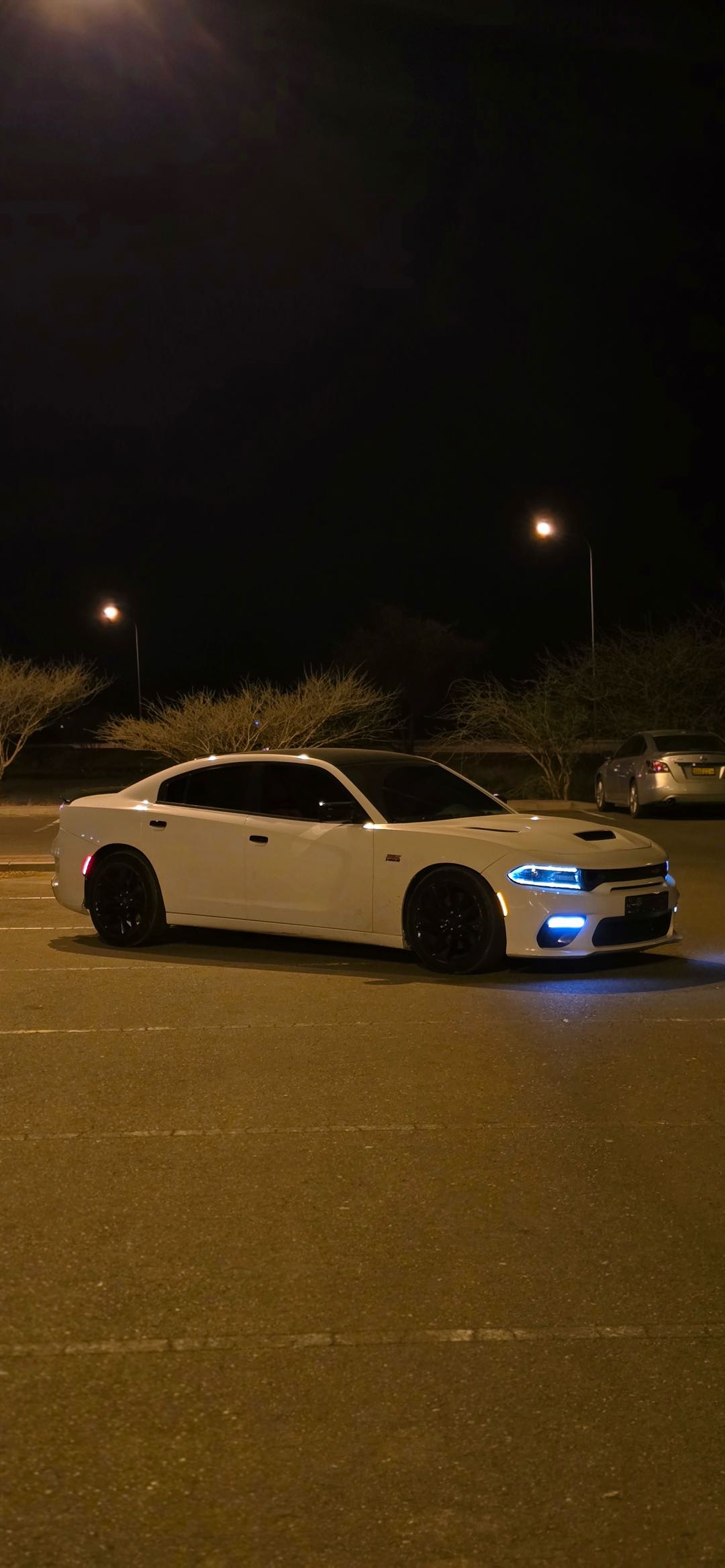 Car Image 2019 DODGE CHARGER R/T