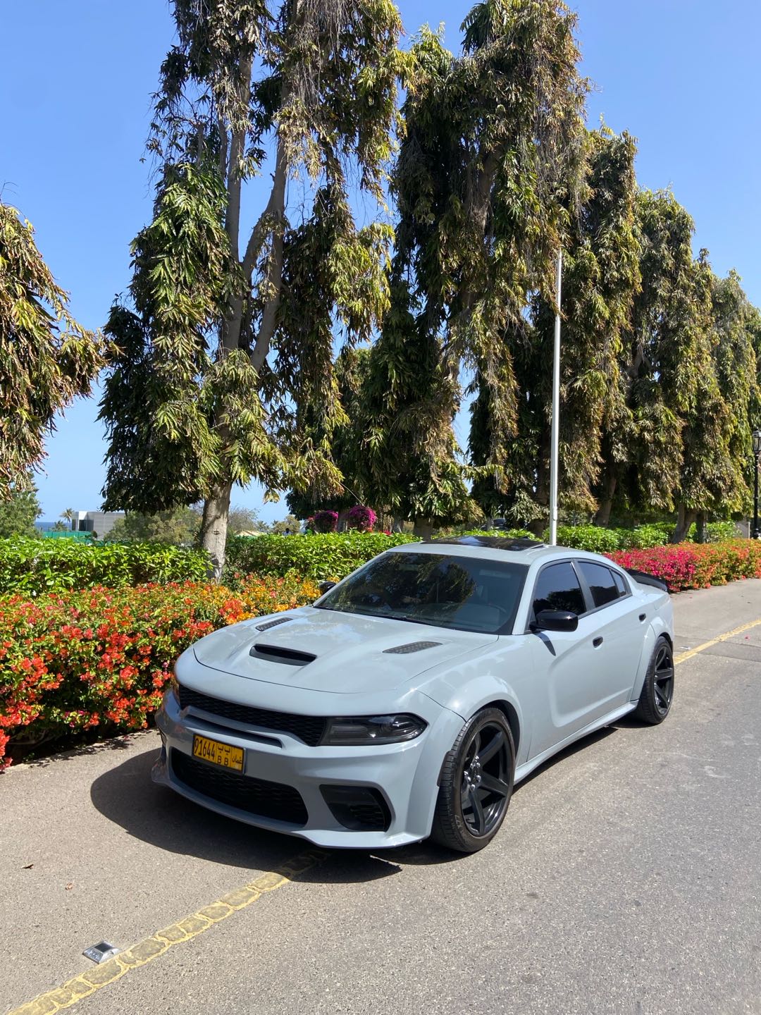 Car Image 2019 DODGE CHARGER R/T