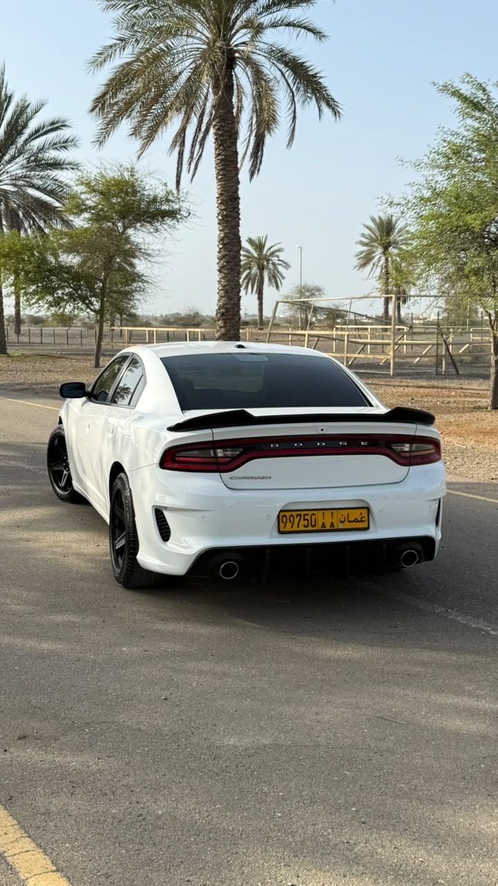 Car Image 2019 DODGE CHARGER SXT