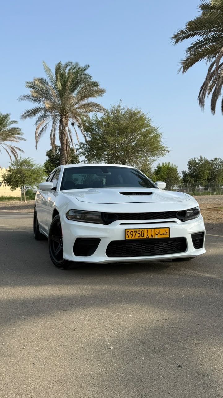 Car Image 2019 DODGE CHARGER SXT