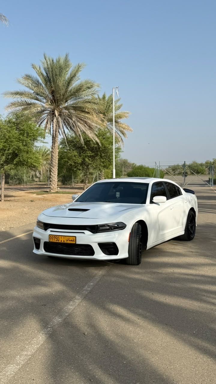 Car Image 2019 DODGE CHARGER SXT