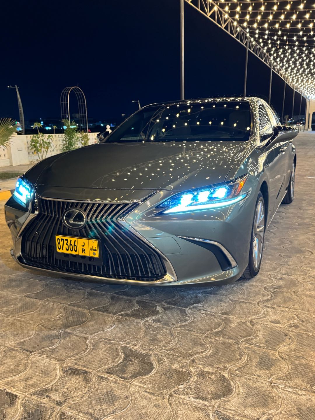 Car Image 2019 LEXUS ES Ultra Luxury
