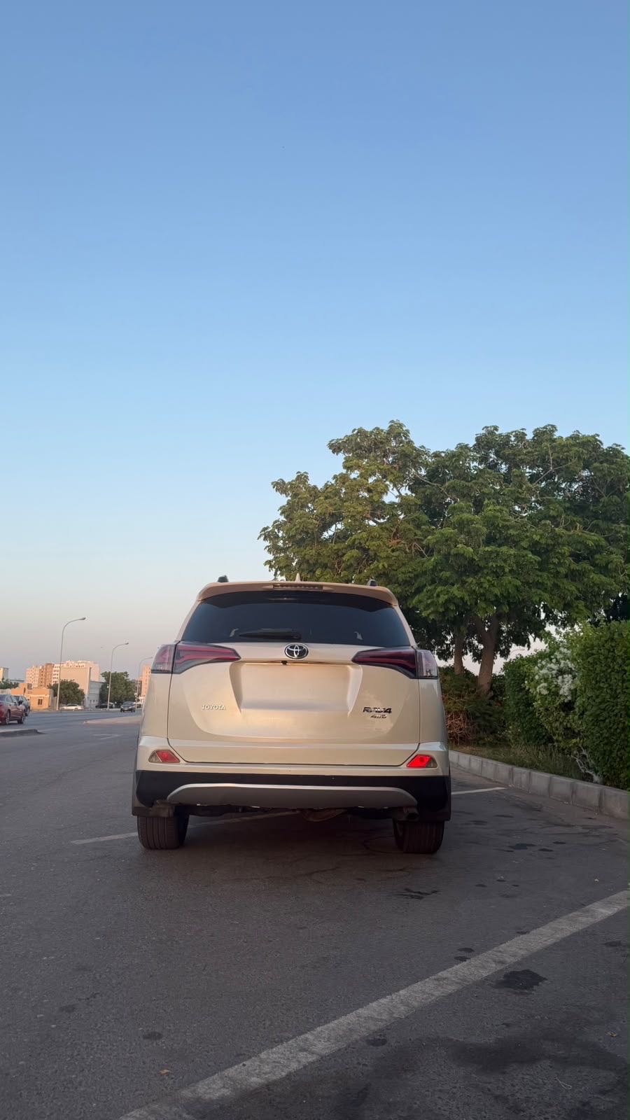 Car Image 2018 TOYOTA RAV4 VXR