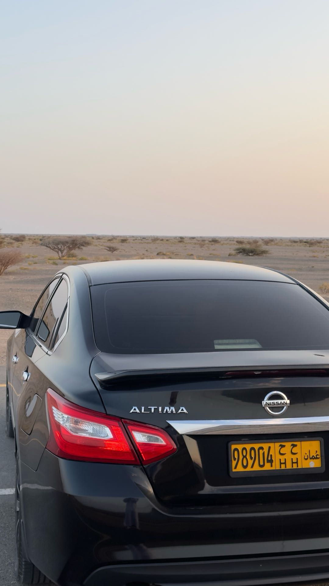 Car Image 2017 NISSAN ALTIMA SL