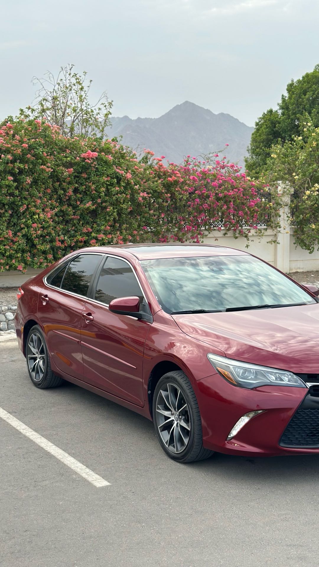 Car Image 2015 TOYOTA CAMRY XSE