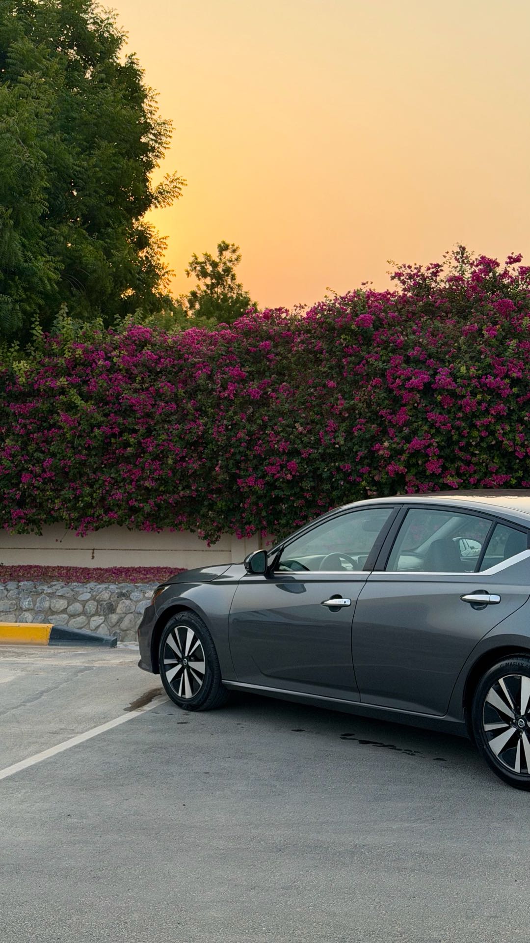 Car Image 2019 NISSAN ALTIMA SL