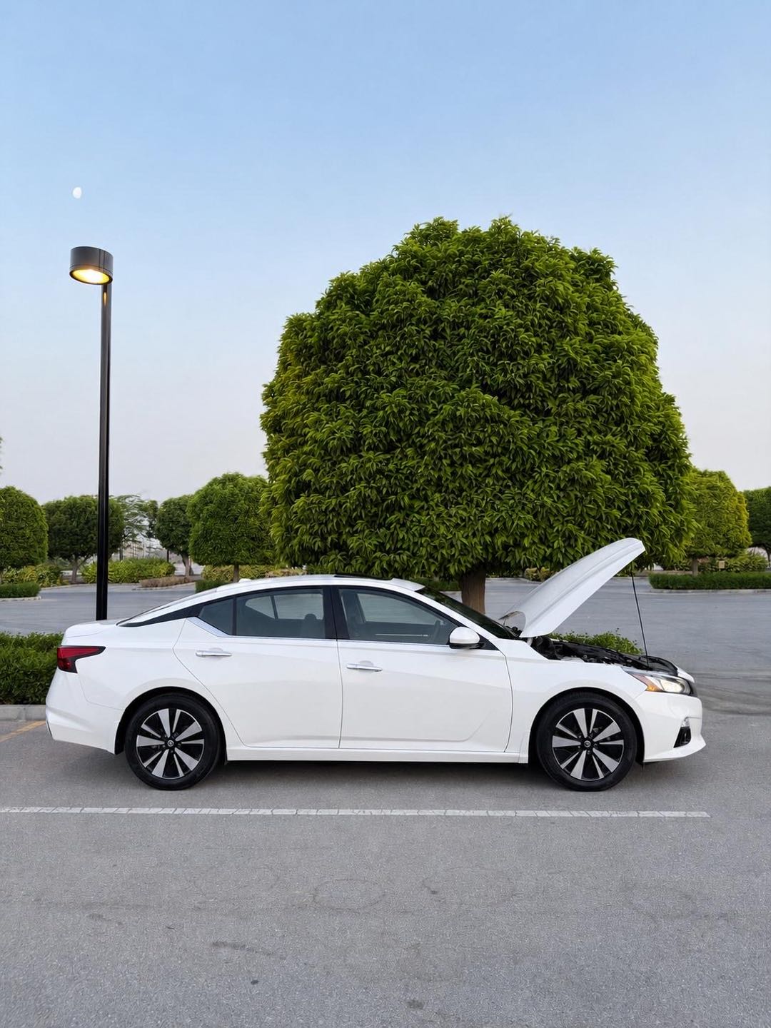 Car Image 2019 NISSAN ALTIMA SV
