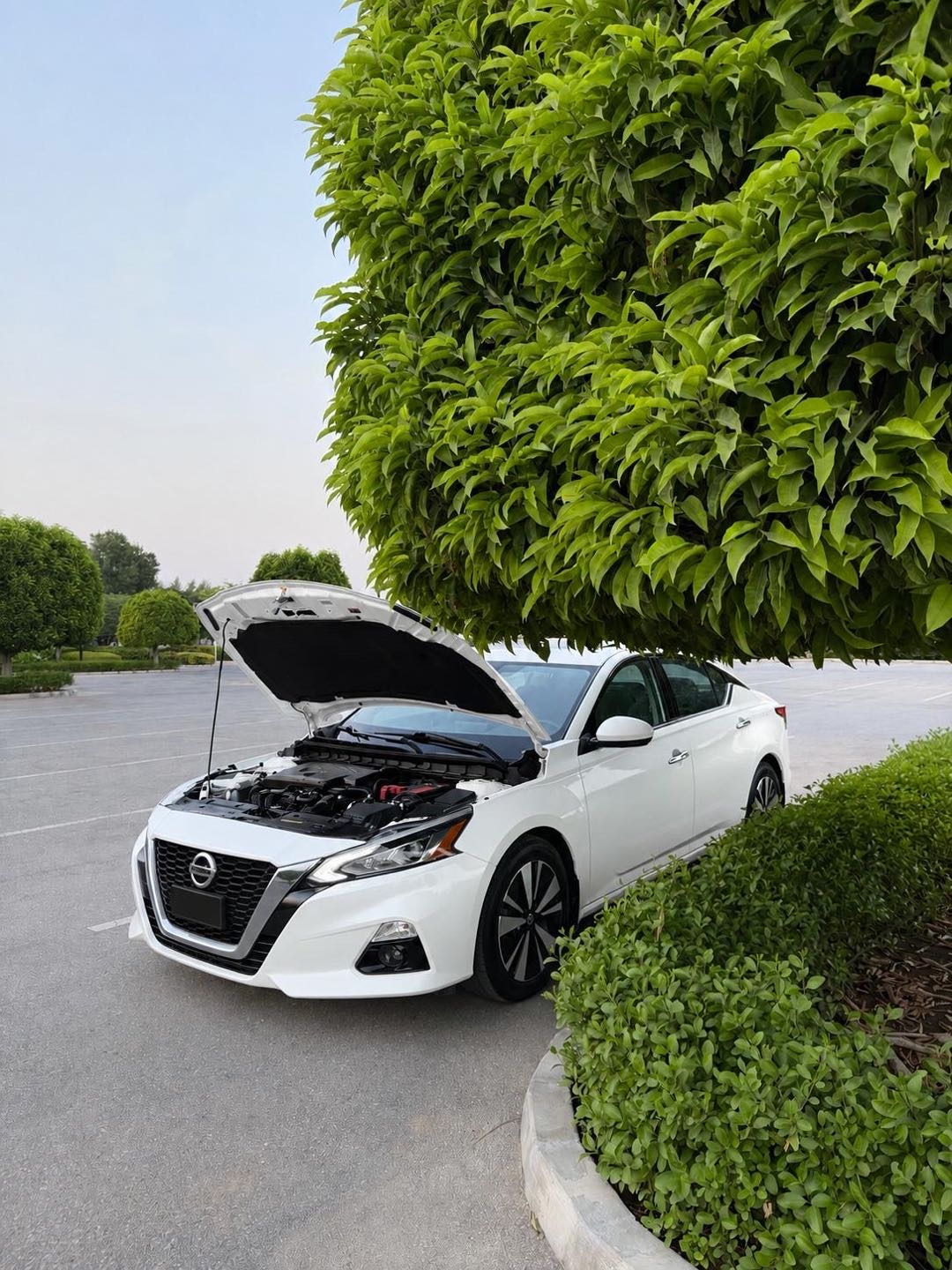 Car Image 2019 NISSAN ALTIMA SV