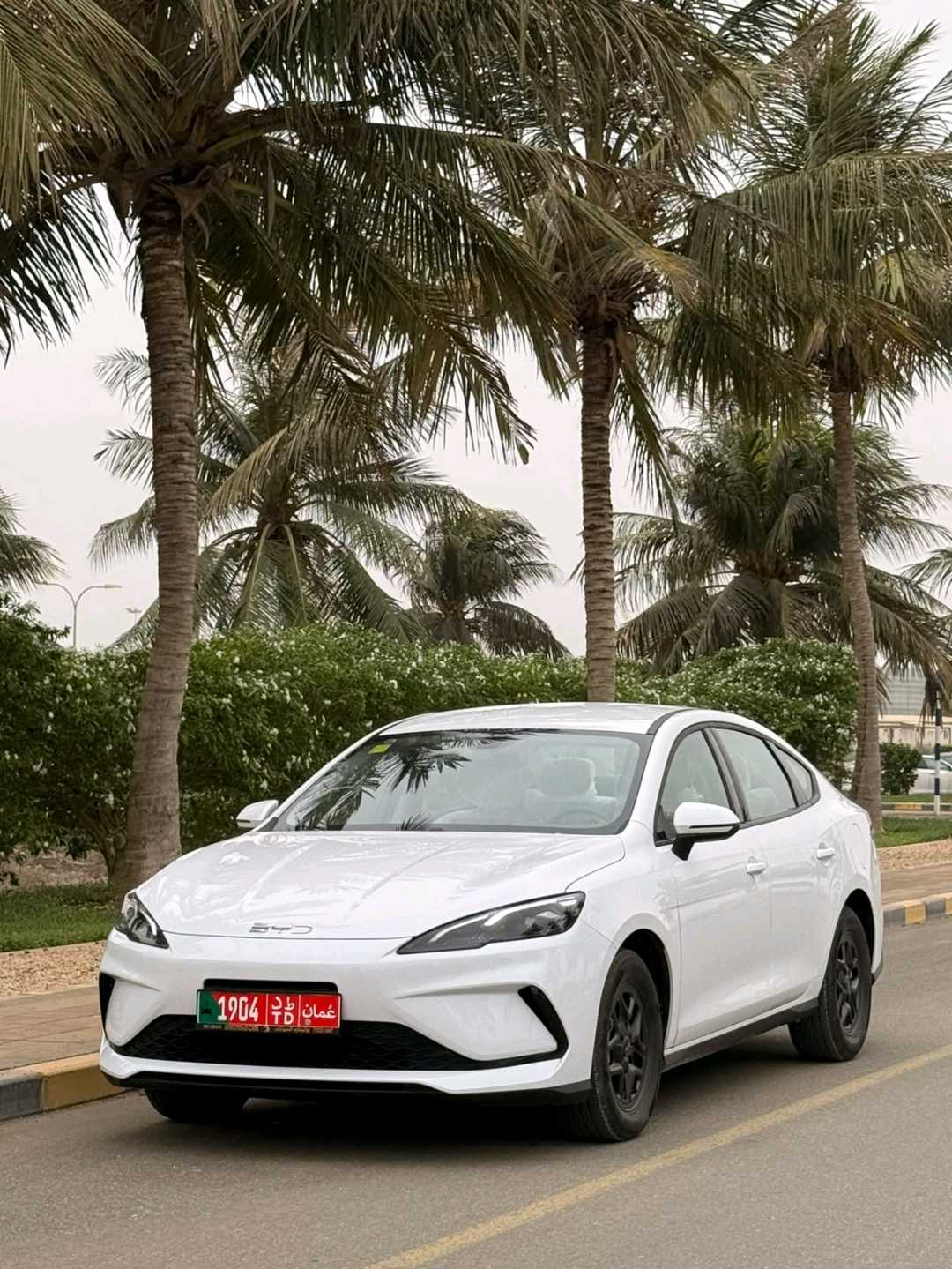 BYD سيل 2026