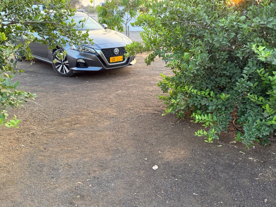 Car Image 2019 NISSAN ALTIMA SL