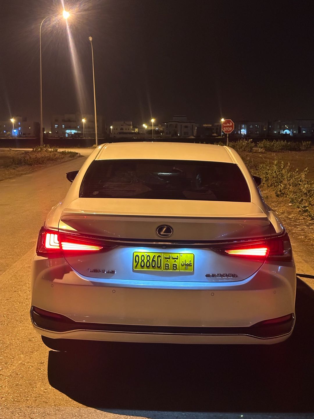 Car Image 2019 LEXUS ES 300