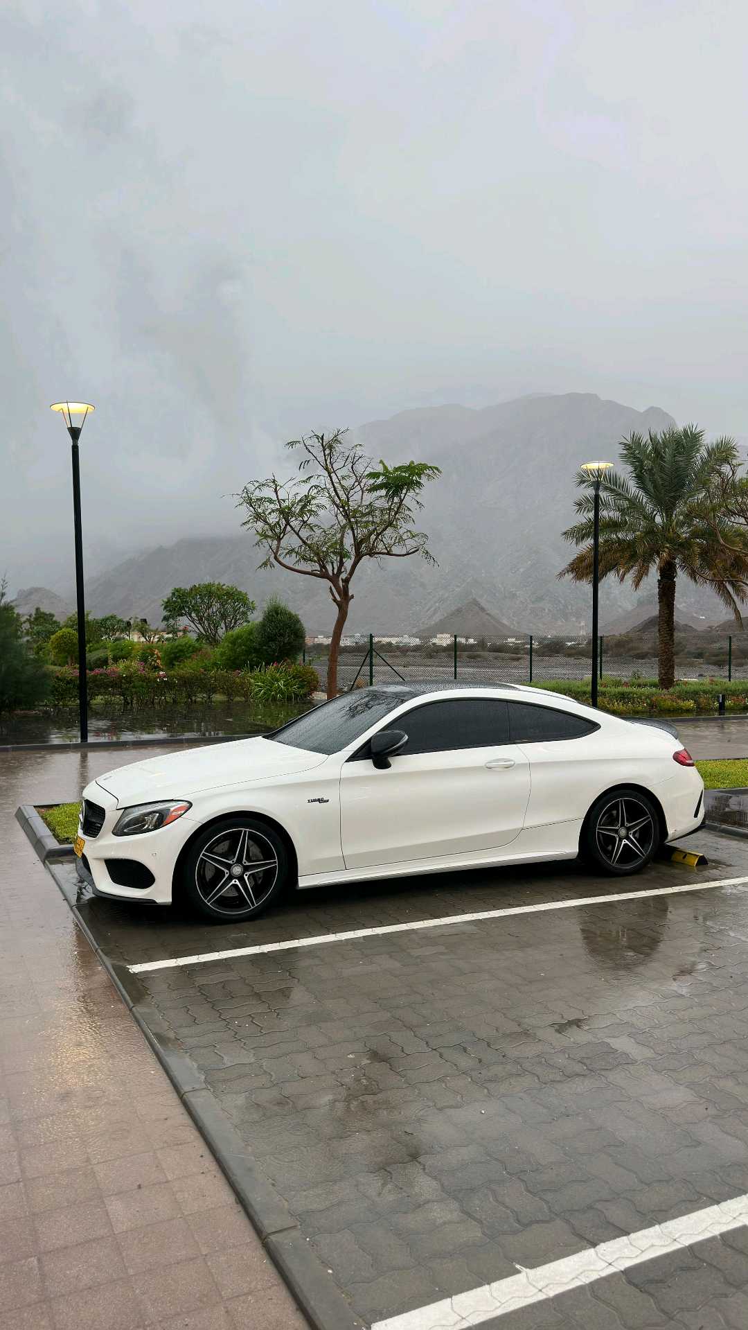 Car Image 2018 MERCEDES C Class 300
