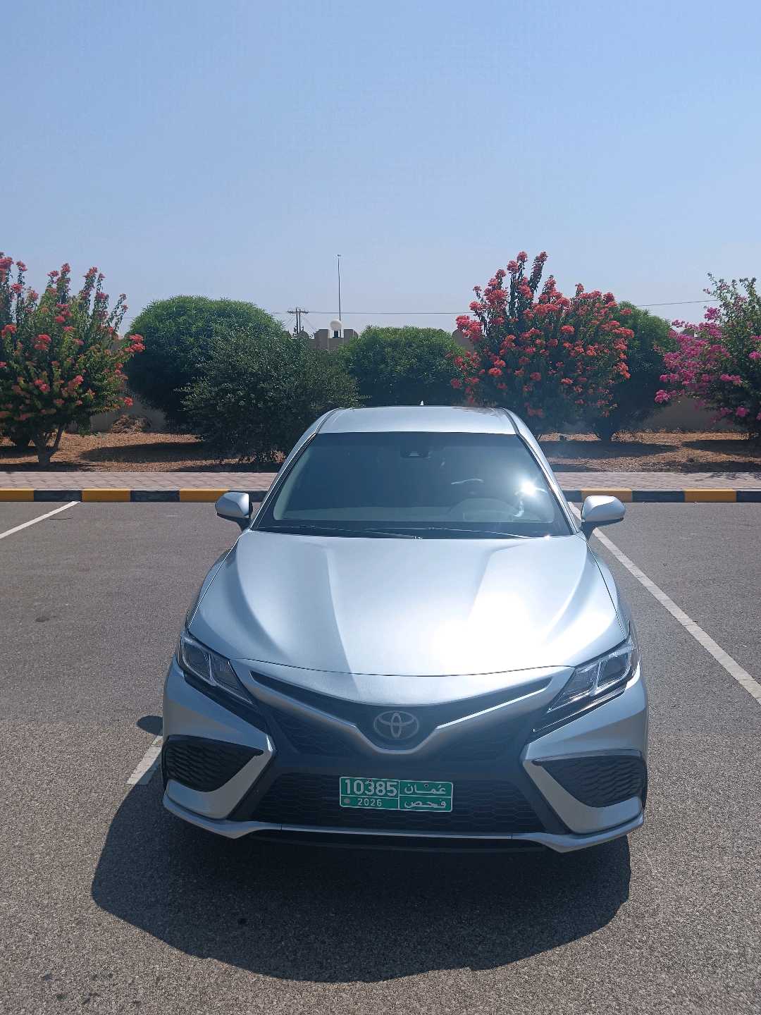Car Image 2019 TOYOTA CAMRY SE