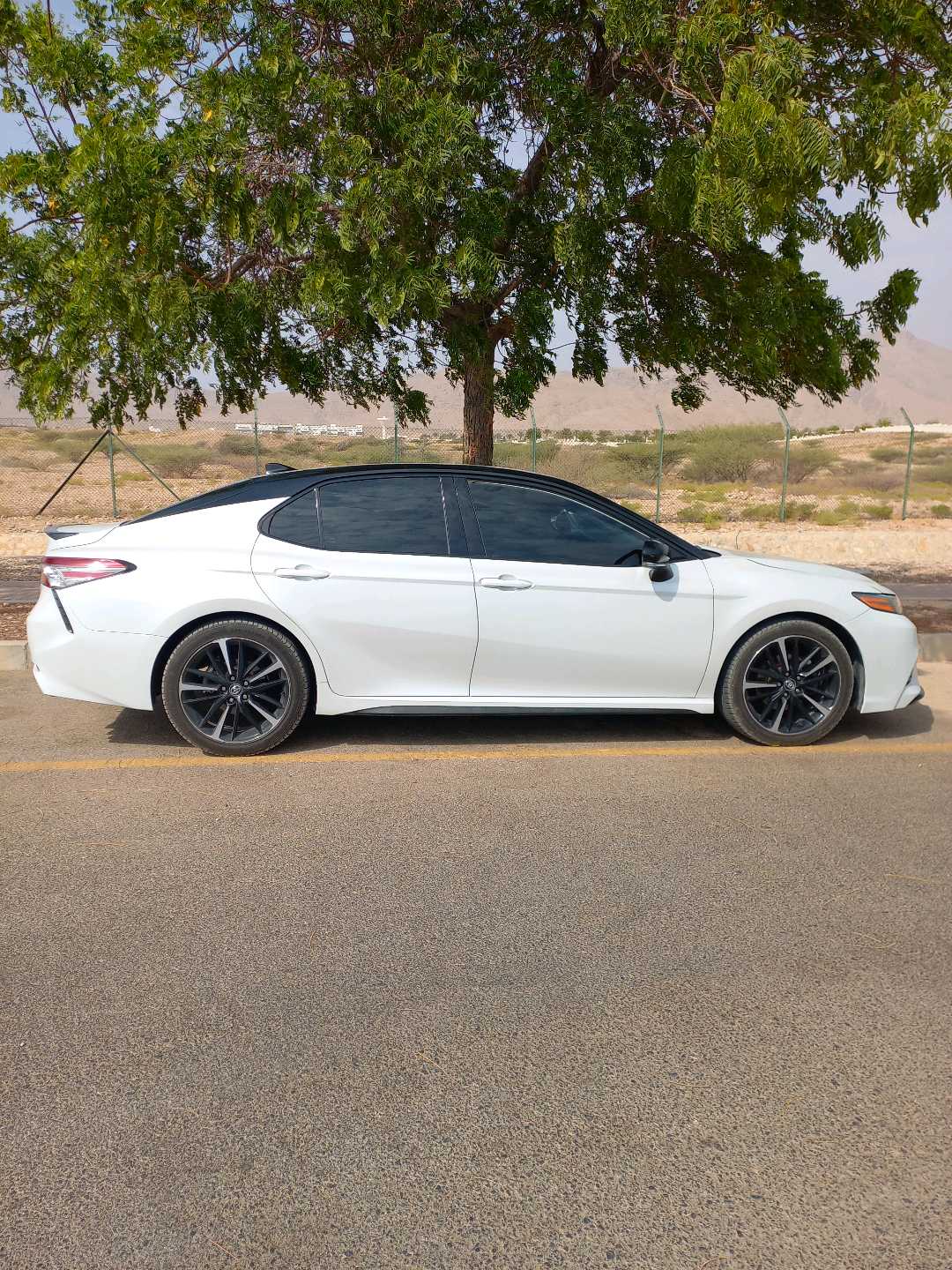 Car Image 2019 TOYOTA CAMRY XSE