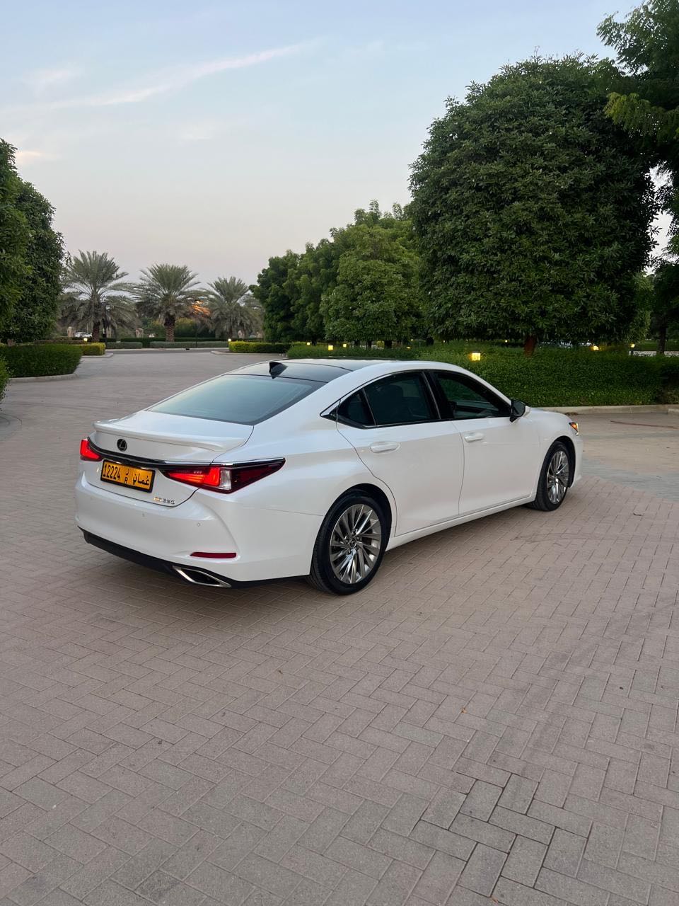 Car Image 2019 LEXUS ES 350