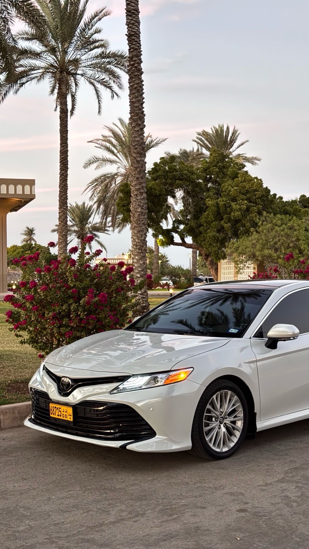 Car Image 2019 TOYOTA CAMRY XLE