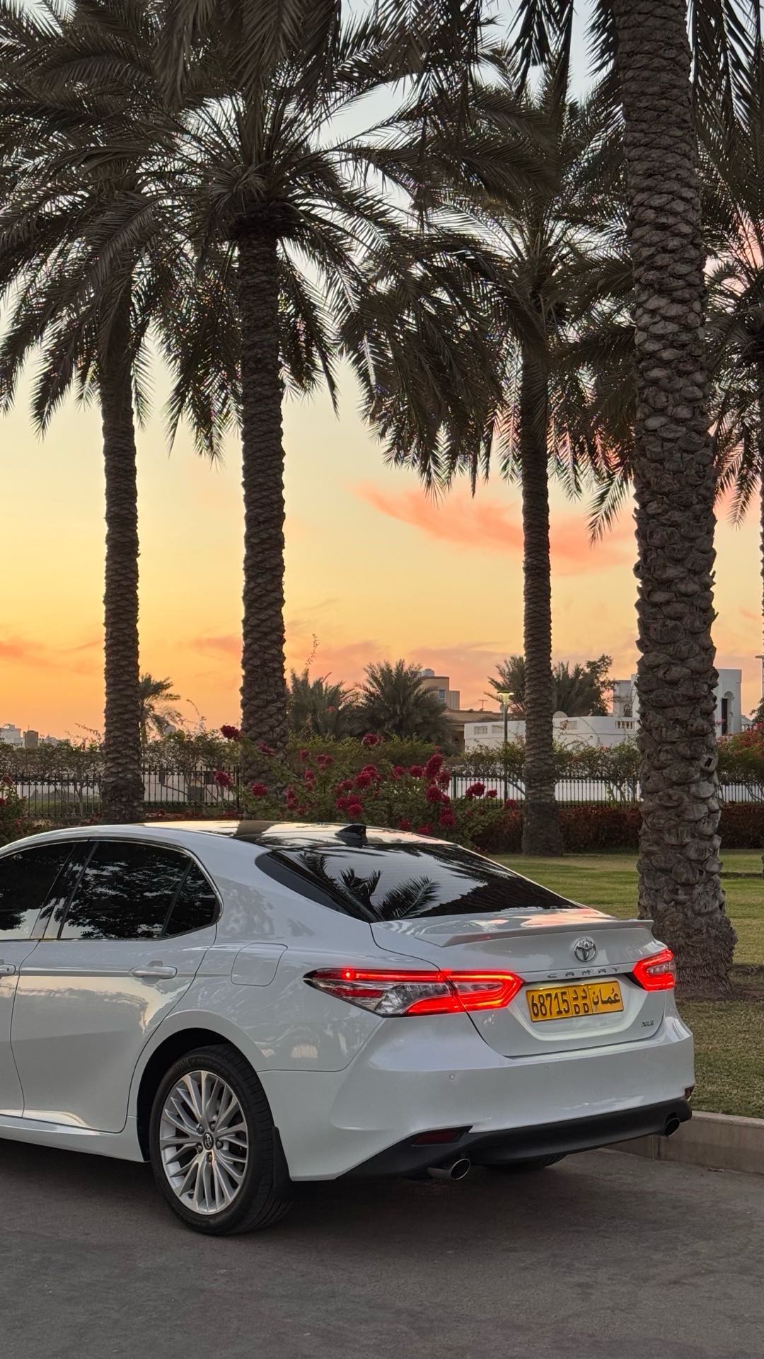 Car Image 2019 TOYOTA CAMRY XLE