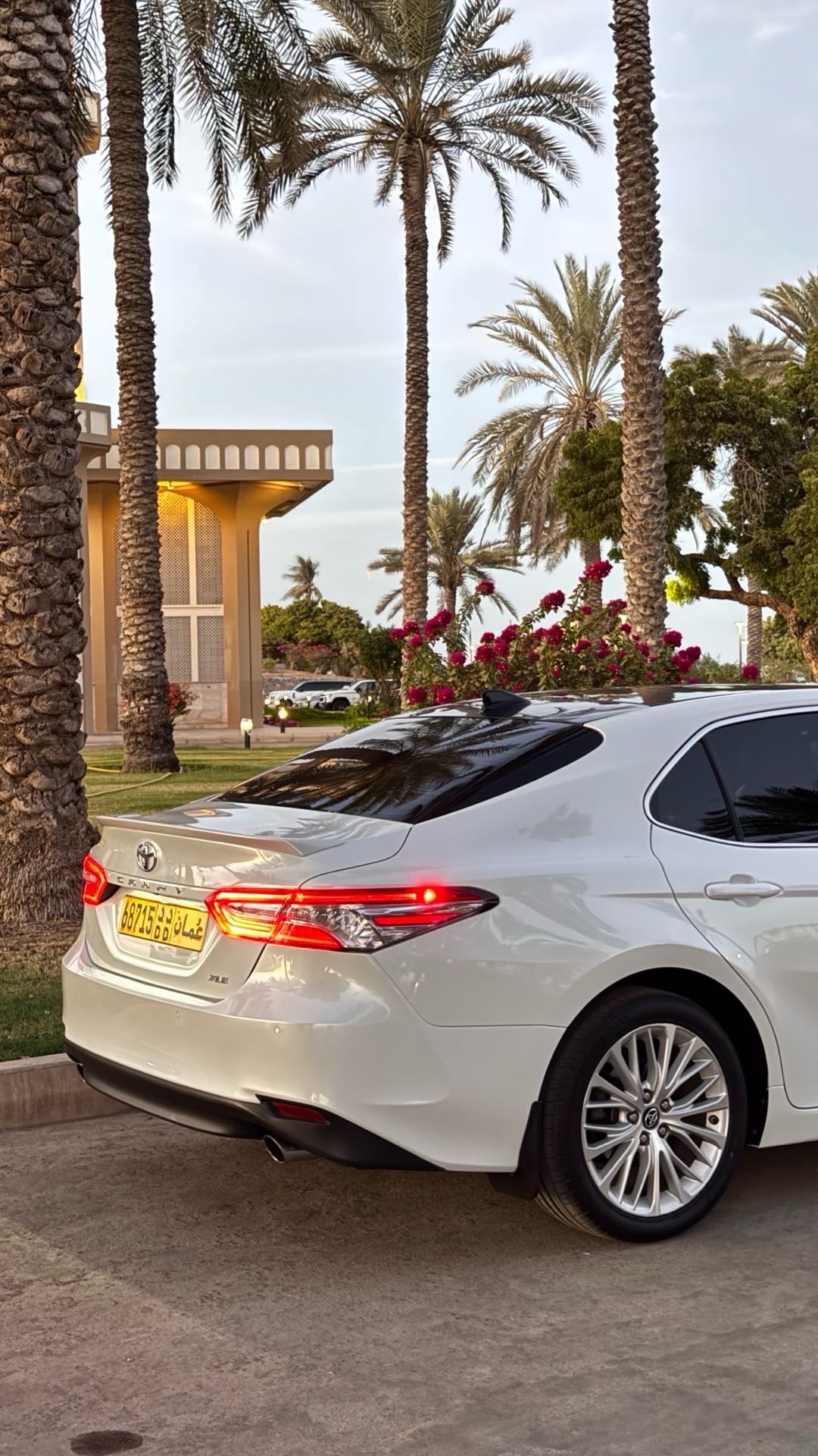 Car Image 2019 TOYOTA CAMRY XLE