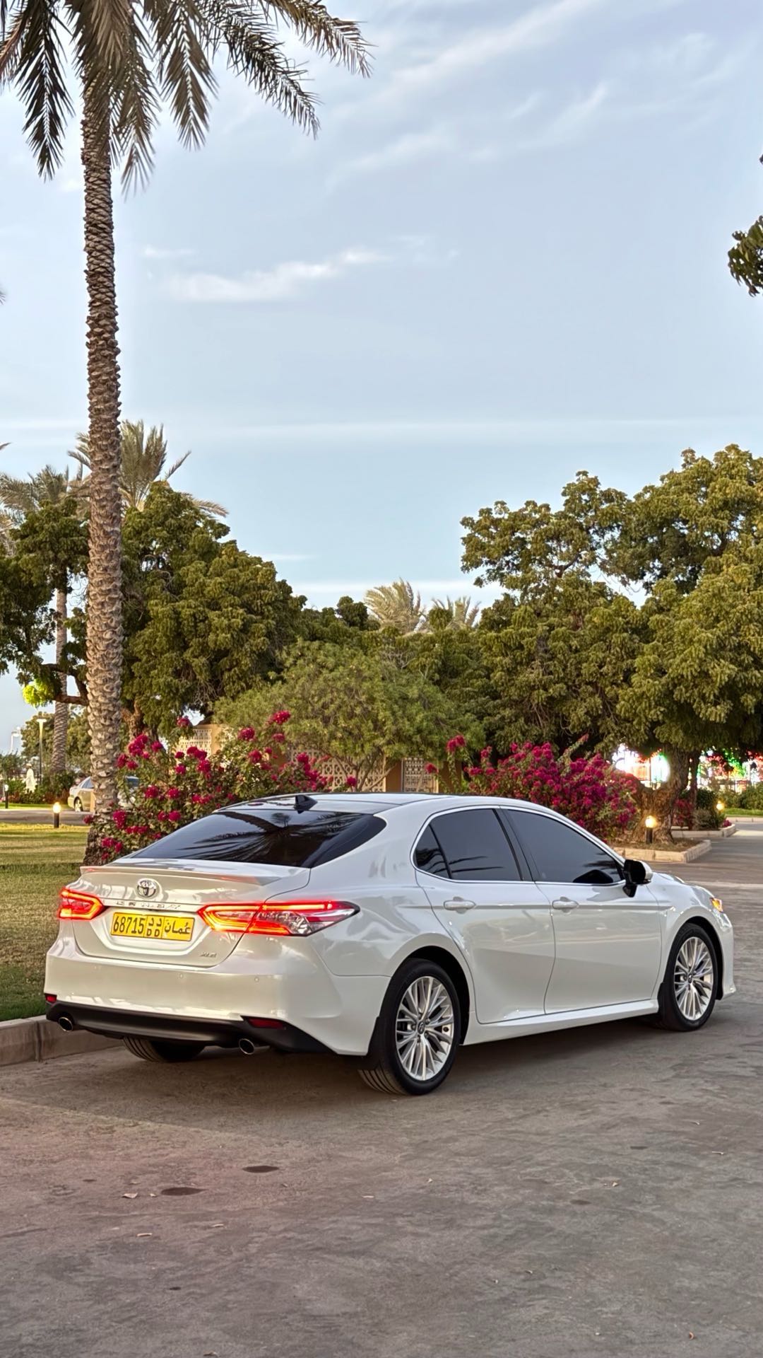 Car Image 2019 TOYOTA CAMRY XLE