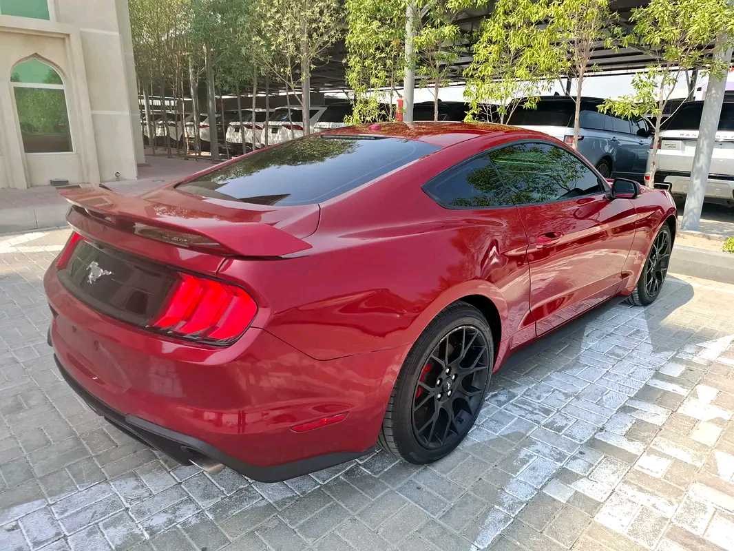 Car Image 2020 FORD MUSTANG Ecoboost