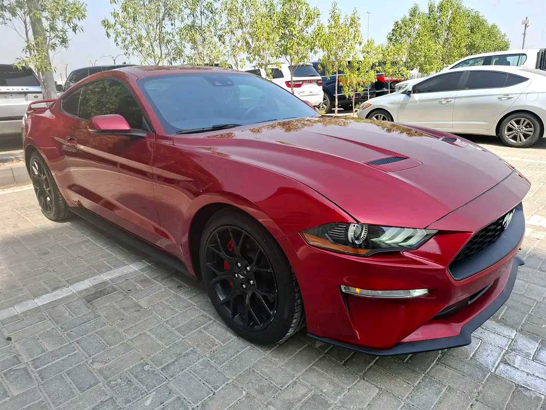 Car Image 2020 FORD MUSTANG Ecoboost