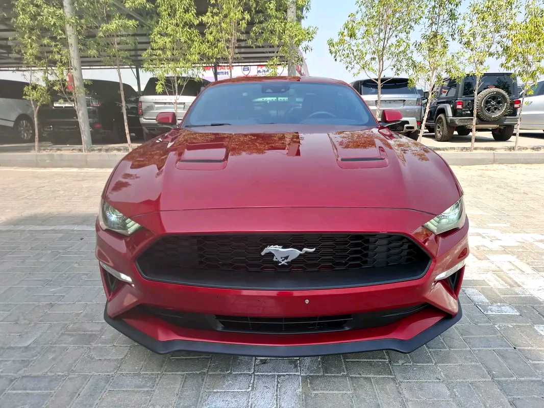 Car Image 2020 FORD MUSTANG Ecoboost